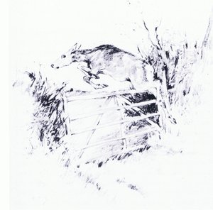 Som en pil fra en bue (litho) af George Denholm Armour