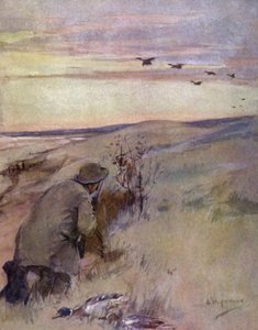 Vilde fugle: flyvende (farve litho) af George Denholm Armour