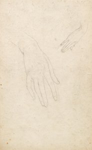 Undersøgelse af hænder