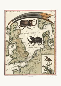 Den aegyptiske ibis og den mindste kolibri, 1749-73 af George Edwards