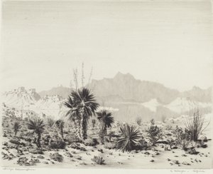 A Mirage, Arizona af George Elbert Burr