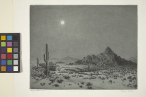Arizona nat af George Elbert Burr