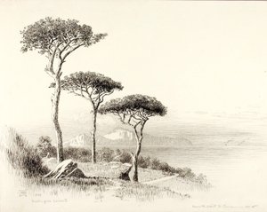 Capri fra Sorrento af George Elbert Burr