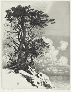 Kyst ved Monterey, Californien af George Elbert Burr
