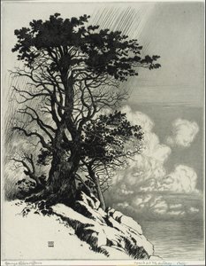 Kysten ved Monterey, Californien af George Elbert Burr