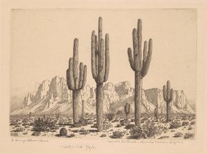 Desert Sentinels, Apache Trail, Arizona af George Elbert Burr
