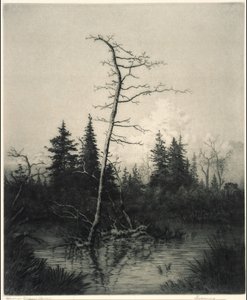 Aften af George Elbert Burr