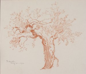 Fiesole af George Elbert Burr