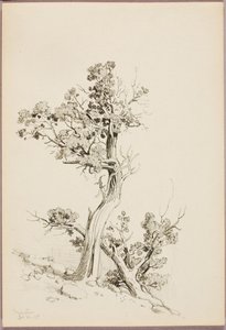 Manitou af George Elbert Burr