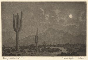 Moonlight-Phoenix af George Elbert Burr