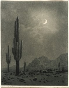  af George Elbert Burr