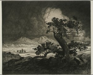 Old Cedars og Spanish Peaks af George Elbert Burr