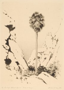Palm Canyon (nr. 1) af George Elbert Burr