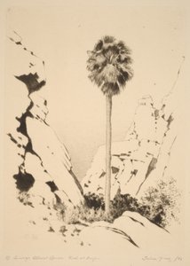  af George Elbert Burr