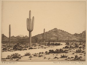 Vejen til Paradise Valley, Arizona