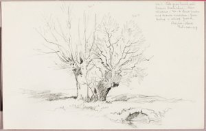 Roche Vaud af George Elbert Burr