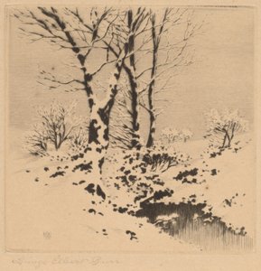 Sne af George Elbert Burr