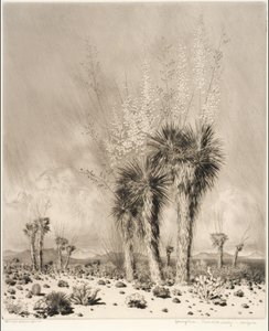 Forår, Paradise Valley, Arizona af George Elbert Burr