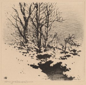 Den første sne (nr. 2) af George Elbert Burr