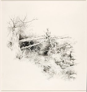 Uden titel (Woodland Stream) af George Elbert Burr