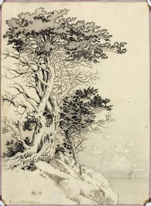 Uden titel (tegning til tryk) af George Elbert Burr
