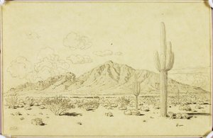 Uden titel (overføringstegning til Camelback Mountain, Phoenix) af George Elbert Burr