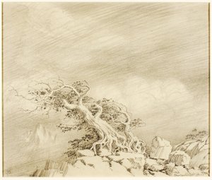 Uden titel (overføringstegning til Storm near Timberline) af George Elbert Burr