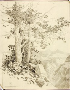 Uden titel (overføringstegning til tryk) af George Elbert Burr
