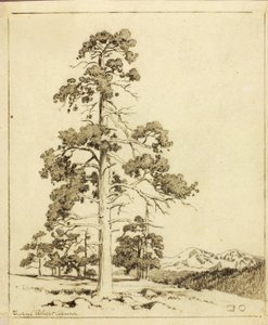 Uden titel (overførselstegning til tryk) af George Elbert Burr