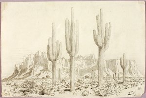 Uden titel af George Elbert Burr