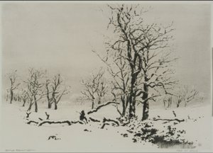 Vinter (nr. 1) af George Elbert Burr