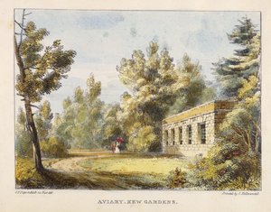 Aviary, Kew Gardens, plade 10 fra Kew Gardens: A Series of Twenty-Four Drawings on Stone, indgraveret af Charles Hullmandel (1789-1850) udgivet 1820 (håndkoloreret litho)