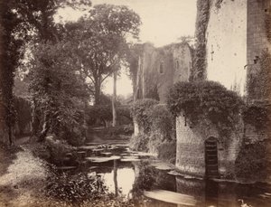 Raglan Castle, 1860