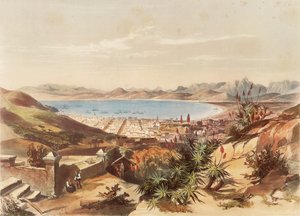 Cape Town af George French Angas