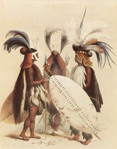 Zulu-hæren af George French Angas