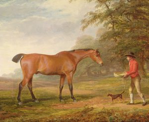 En bugthest nærmede sig af en staldknægt med mad og en grime, 1789