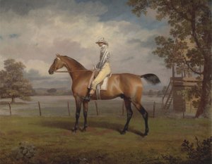 Portræt af en væddeløbshest, muligvis forklædning, ejendom af hertugen af Hamilton, med Jockey Up af George Garrard