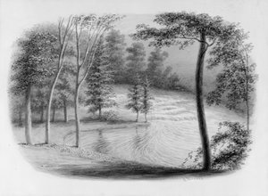 A Brook fra Hosack Album,. af George Harvey