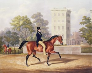 Markis af Anglesea til hest i Hyde Park i sit 80. år, graveret af J. Harris, 1847 (farvestik)