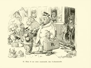 Mr Rhino gjorde en sensationel entré i Acclimatationville (litho) af George Henry Thompson