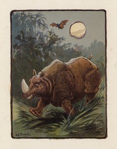 Næsehorn (farvelitografi) af George Henry Thompson