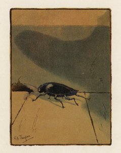 The Beetle (farvelitografi)
