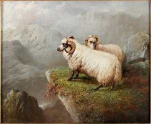 Får på en klippekant, ca. 1865-68