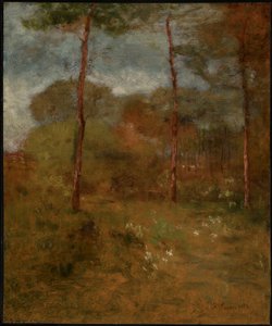 Orange Road, Tarpon Springs af George Inness