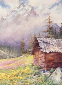 Caltha palustris og Primula farinosa på de øvre marker i Champex mod slutningen af maj (farvelitografi) af George Jackson Flemwell