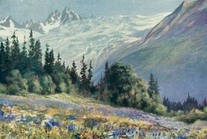 Campanula og andre juliblomster på Col Des Montets (farve litho)
