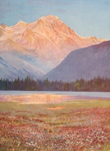 Aften blandt markerne med lyserød bistort ved Lac Champex; solnedgangslys på Grand Combin, juli (farvelitografi) af George Jackson Flemwell