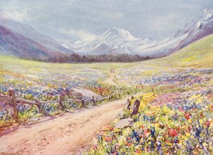 Juni-enge med Salvia, Lychnis osv. i Val Ferret, lige før ankomsten til landsbyen Praz de Fort (farvelitografi) af George Jackson Flemwell