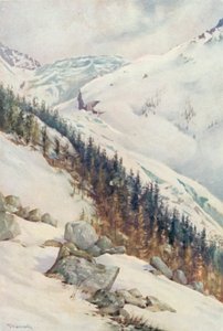 Gletscheren i Argentiere om vinteren (farve litho)