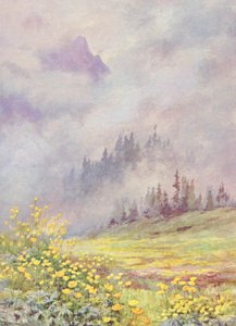 Trollius europaeus, globusblomsten, på de skyfyldte marker i begyndelsen af juni (farvelitografi) af George Jackson Flemwell